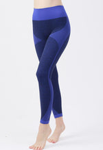 Ambition Legging - Mayzia