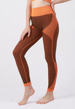 Ambition Legging - Mayzia