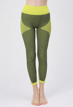 Ambition Legging - Mayzia