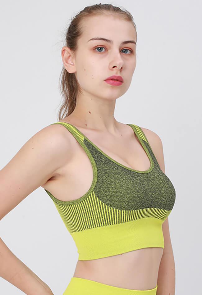 Ambition Sports Bra - Mayzia