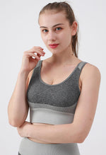 Ambition Sports Bra - Mayzia