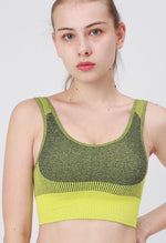 Ambition Sports Bra - Mayzia