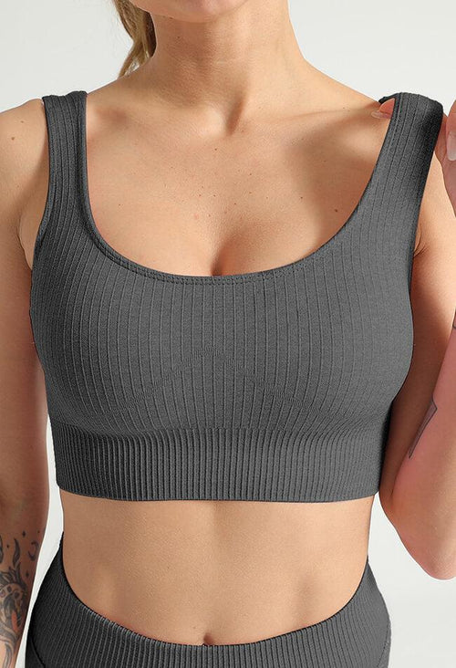 Basic Comfort Ribbed Seamless Sports Bra - The Elite - Mayzia