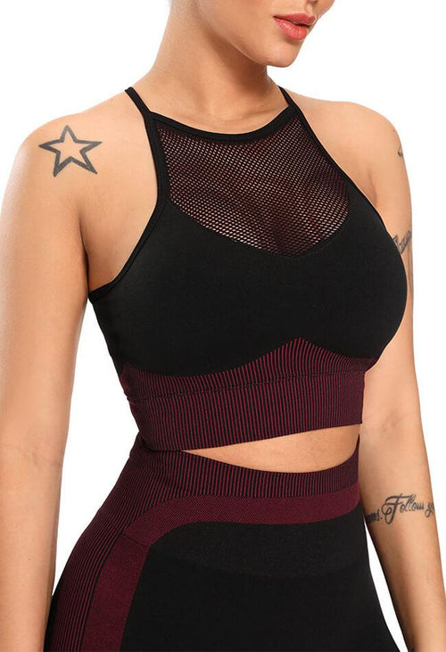 Contrast Mesh Seamless Sports Bra - Mayzia