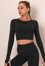 Cut-Out Contrast Seamless Top - The Bondi - Mayzia