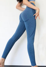 Motivation Seamless Legging - Mayzia