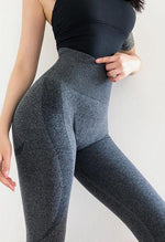 Motivation Seamless Legging - Mayzia