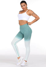 Ombre Energy Legging - Mayzia