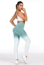 Ombre Energy Legging - Mayzia