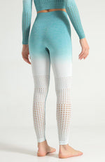 Ombre Hollow Legging - Mayzia