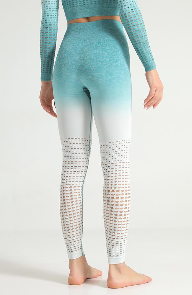 Ombre Hollow Legging - Mayzia