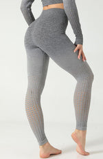Ombre Hollow Legging - Mayzia