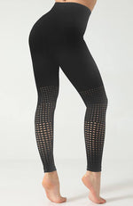 Ombre Hollow Legging - Mayzia