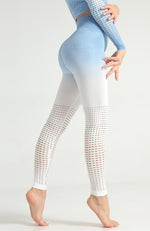 Ombre Hollow Legging - Mayzia