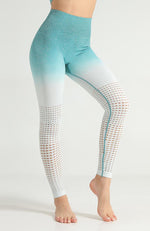 Ombre Hollow Legging - Mayzia