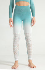 Ombre Hollow Legging - Mayzia