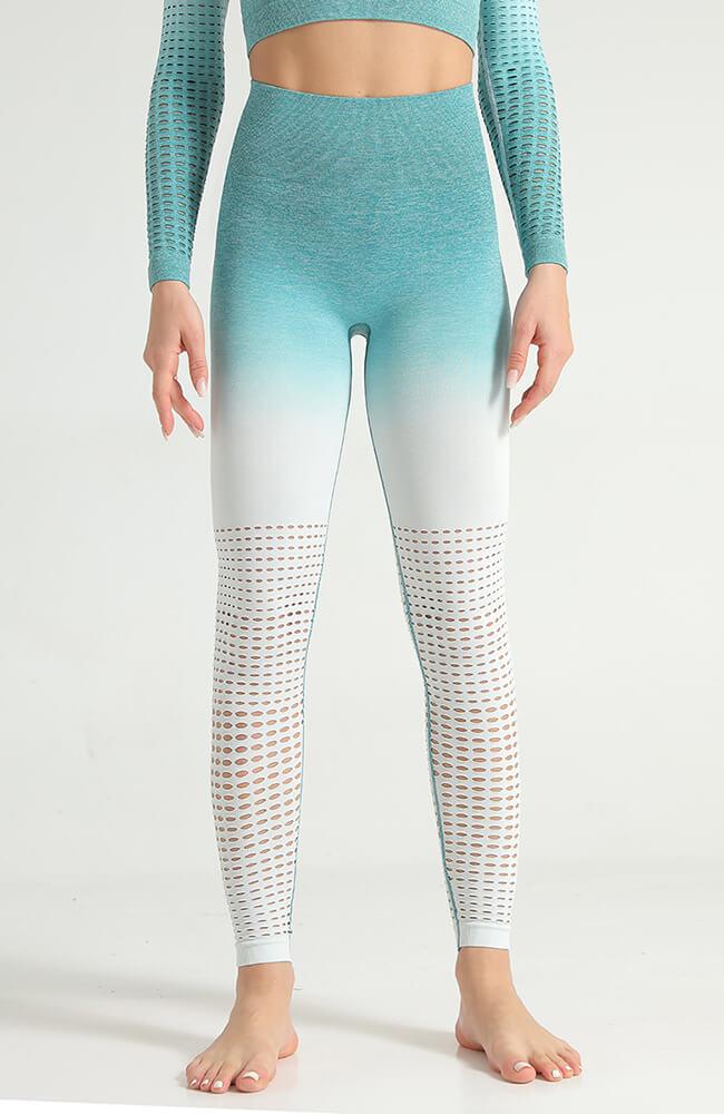 Ombre Hollow Legging - Mayzia