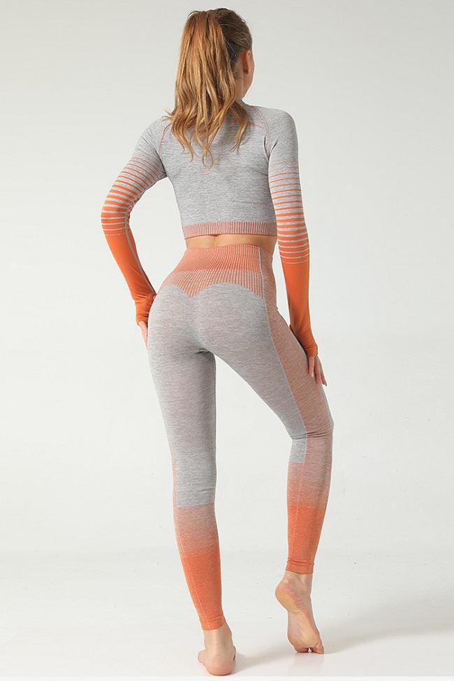 Ombre Power Seamless Legging - Mayzia