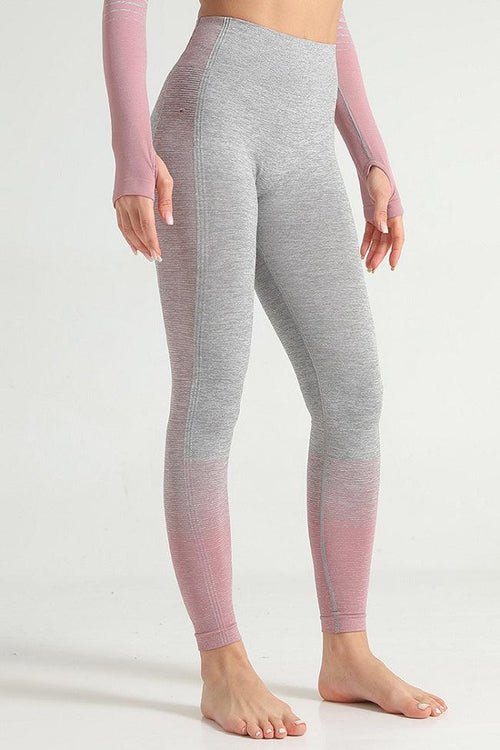 Ombre Power Seamless Legging - Mayzia