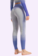 Ombre Power Seamless Legging - Mayzia