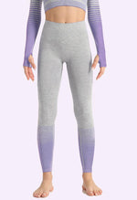 Ombre Power Seamless Legging - Mayzia