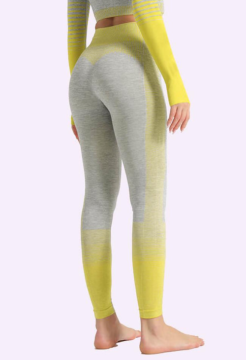 Ombre Power Seamless Legging - Mayzia