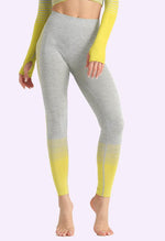 Ombre Power Seamless Legging - Mayzia