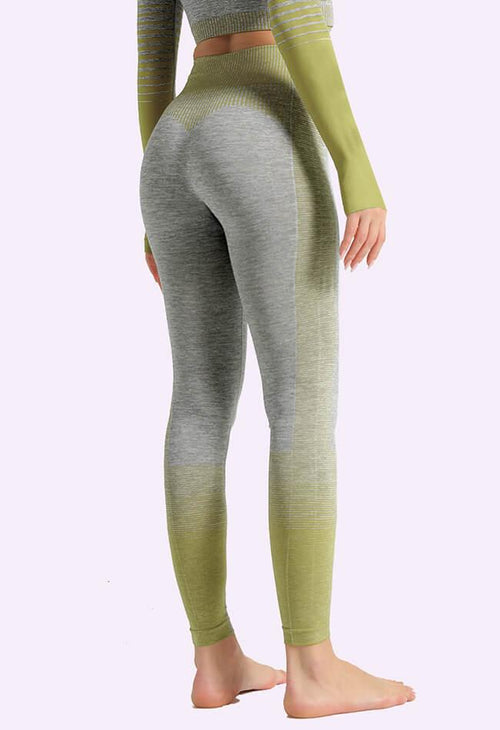 Ombre Power Seamless Legging - Mayzia