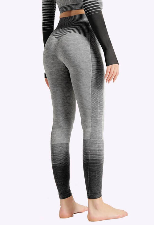 Ombre Power Seamless Legging - Mayzia