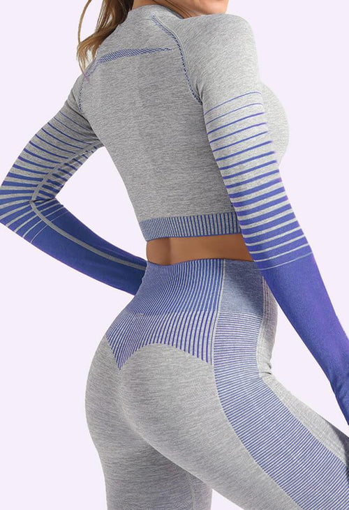 Ombre Power Seamless Sleeved Crop - Mayzia