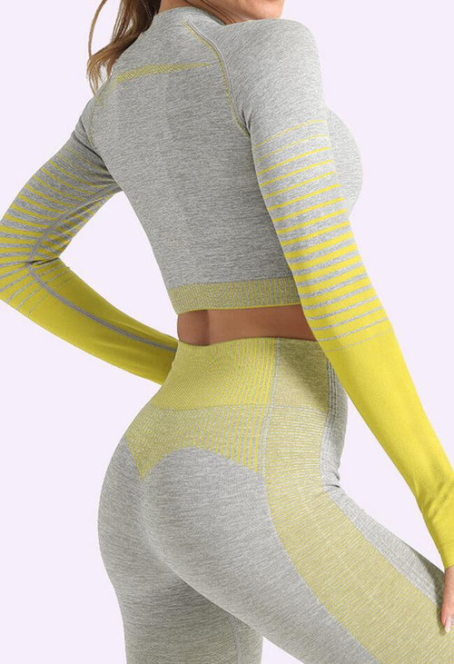 Ombre Power Seamless Sleeved Crop - Mayzia