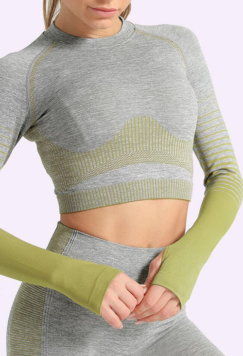 Ombre Power Seamless Sleeved Crop - Mayzia