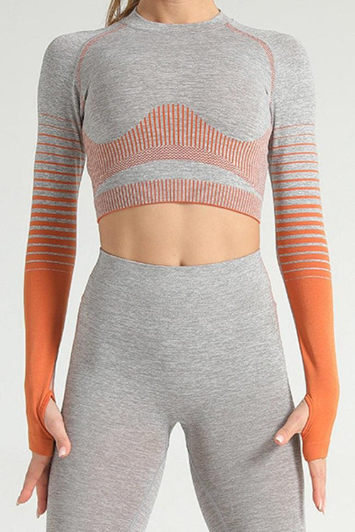 Ombre Power Seamless Sleeved Crop - Mayzia