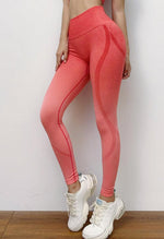 Ombre Push Up Seamless Legging - Mayzia