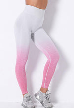 Ombre Strength Seamless Legging - Mayzia