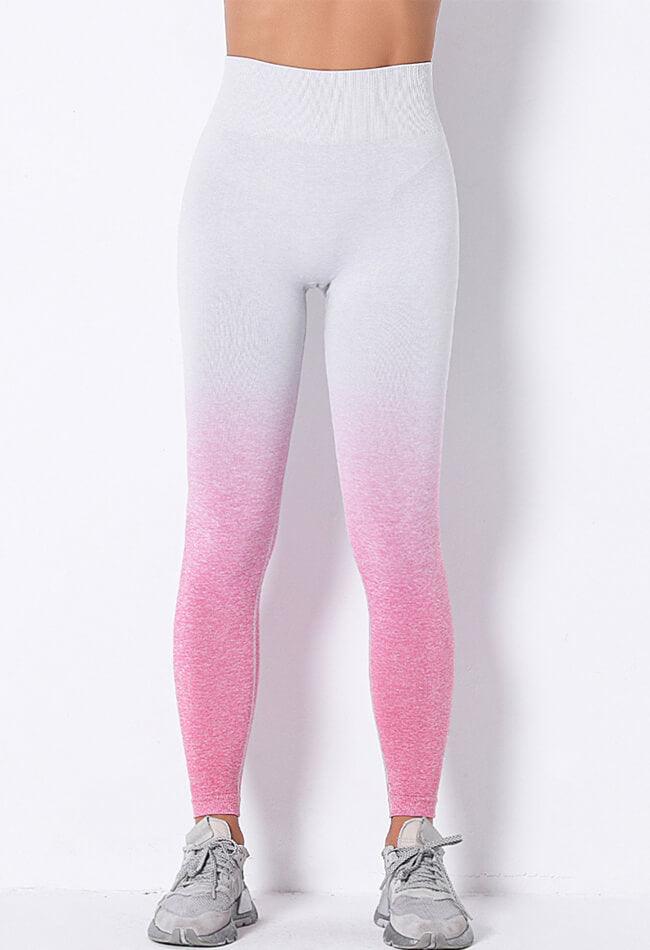 Ombre Strength Seamless Legging - Mayzia