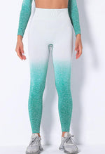 Ombre Strength Seamless Legging - Mayzia