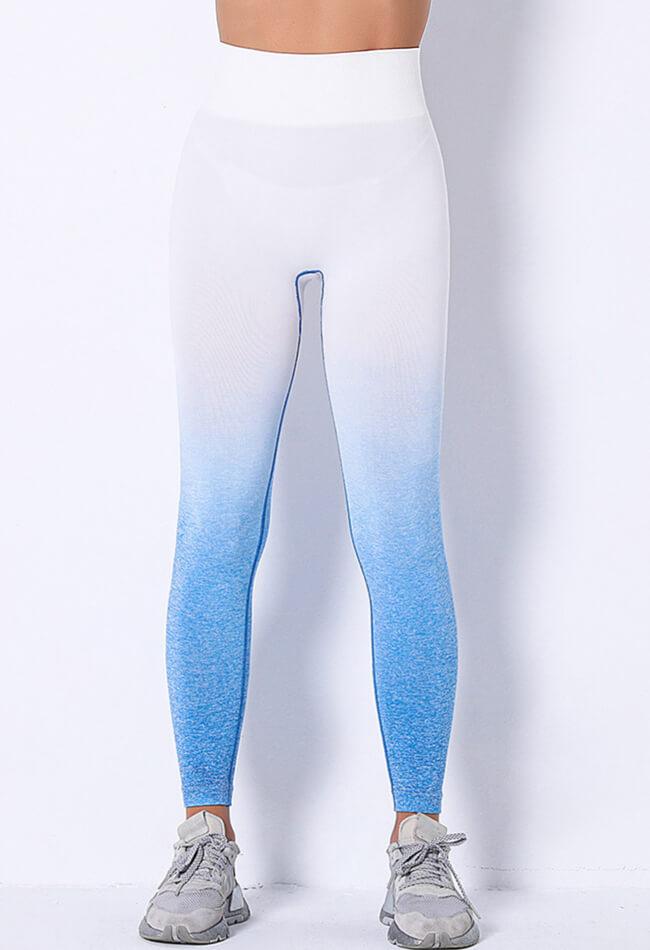 Ombre Strength Seamless Legging - Mayzia