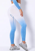 Ombre Strength Seamless Legging - Mayzia