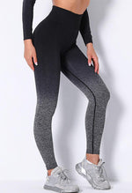 Ombre Strength Seamless Legging - Mayzia