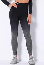 Ombre Strength Seamless Legging - Mayzia