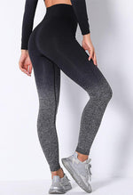 Ombre Strength Seamless Legging - Mayzia