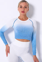 Ombre Strength Seamless Top - Mayzia