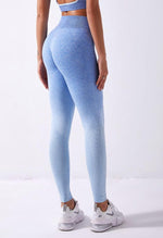 Ombre Vibrant Seamless Legging - Mayzia