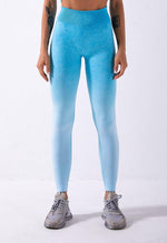 Ombre Vibrant Seamless Legging - Mayzia