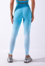 Ombre Vibrant Seamless Legging - Mayzia