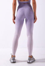 Ombre Vibrant Seamless Legging - Mayzia