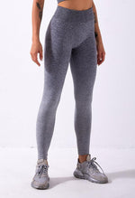 Ombre Vibrant Seamless Legging - Mayzia