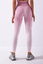 Ombre Vibrant Seamless Legging - Mayzia