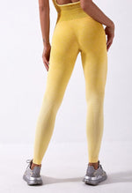 Ombre Vibrant Seamless Legging - Mayzia